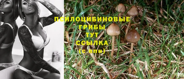 синтетический гашиш Россошь