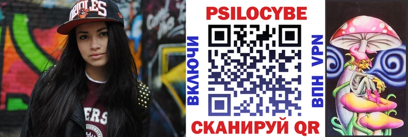 mega ТОР  цены   Шебекино  Псилоцибиновые грибы Psilocybe 