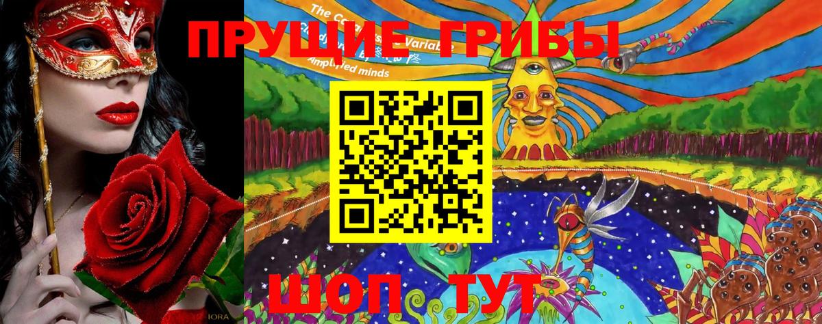 Галлюциногенные грибы Psilocybine cubensis Шебекино