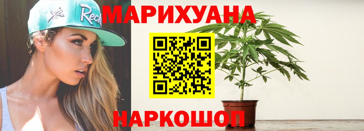 Бошки Шишки планчик Шебекино